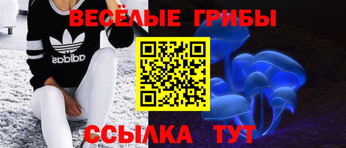 Псилоцибиновые грибы Cubensis  Вход с VPN  Псилоцибиновые грибы MAGIC MUSHROOMS  Будённовск 